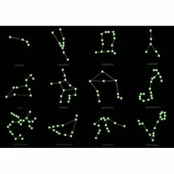 Acheter ❤️ KoaKoa Cartables Poster Des Constellations Phosphorescent ⭐