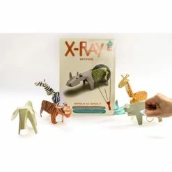 Les meilleures critiques de ✔️ KoaKoa Cartables Animaux Au Rayon X 🛒